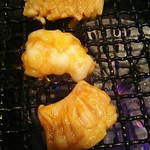 和牛 まつした - ●おまかせコース 8,500円(前菜・和牛ﾚｽﾃｰｷ・上塩ﾀﾝ・ﾈｷﾞ塩ﾀﾝｶﾙﾋﾞ・ｽﾃｰｷｶｯﾄ・焼しゃぶ・焼すき・ﾀﾚ焼・味噌焼比べ・和牛寿司)＋追加単品 ホルモン盛合せ 500円=9,000円 2019年01月