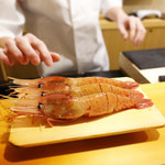 鮨 あらい - （2019年1月）増毛ボタン海老