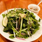 東京ブッチャーズ - パクチーサラダ