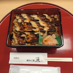 Wataru - 焼きあなご弁当(梅)