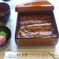 鰻割烹 伊豆栄 不忍亭 - うな重（梅）開封後