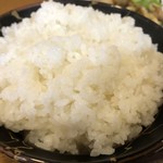 カジュアル食堂 レスト アドル - 