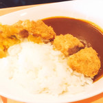 欧風カレー ドンピエール ジェット - 