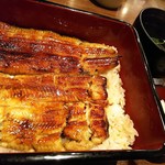 Shinjuku Unagi Kikukawa - 