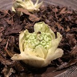 フロリレージュ - 