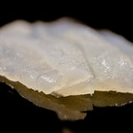 日本橋蛎殻町 すぎた - かわはぎ