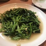 餃子専科Lee - 