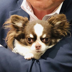 傳 - 店の顔　プチJr