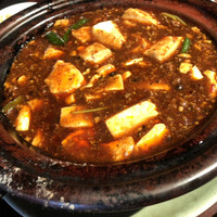 雪梅花 菜根譚 - 