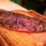 鮨処 多田 - もどり鰹　炙りあがり