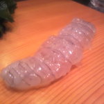 鮨処 多田 - 蝦蛄の刺身