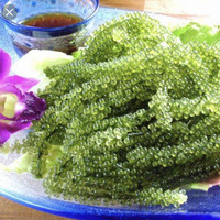沖縄料理 あしびな 錦糸町 沖縄料理 ネット予約可 食べログ 沖縄料理 あしびな 錦糸町 沖縄料理 ネット予約可 食べログ