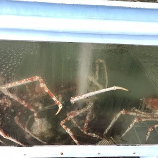 千葉でおすすめのグルメ情報 タカアシガニ をご紹介 食べログ 千葉でおすすめのグルメ情報 タカアシガニ をご紹介 食べログ