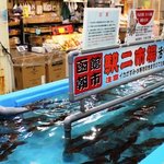 函館朝市 駅二市場 活いか釣り広場 - 活いか釣り体験（調理込み）時価