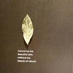 TSU・SHI・MI - メニュー