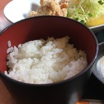 ラクダ - 