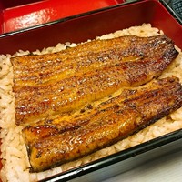 鰻割烹 伊豆栄 本店 - 