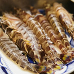 すしお料理処まつやま - エビ
