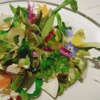 レフェルヴェソンス - 