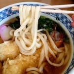 Tano Kiyuu - "ツルシコ"系の麺