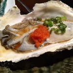 Kirara - 生牡蠣