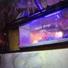 aquadrop.cafe