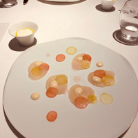 レフェルヴェソンス - 