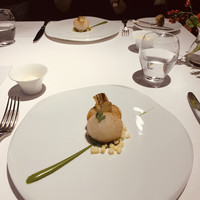 レフェルヴェソンス - 