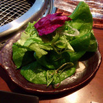 生粋 - サラダ