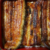 石ばし - 特上鰻重