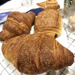 Blé Sucré - 手前のクロサッワンです。