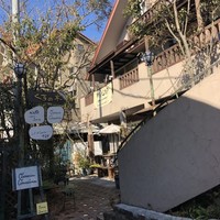 RISTORANTE IL NODO - 