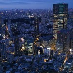 Akasaka Usagiya - 東京の夜景