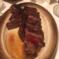 ウルフギャング・ステーキハウス 六本木 - プライムグレード熟成T-BONEステーキ