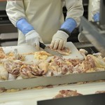 水炊き とよみつ  - 