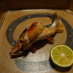 光安 - 2011-10-24お任せ8000円