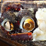 蟹御殿 - たらば・サザエの炭火焼