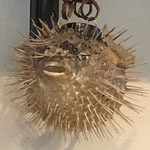 旬彩 天ぷら 心来(しんら） - 