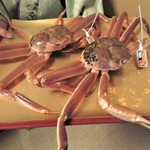 日本料理 きた川 - 新潟産ズワイガニ
