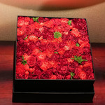 エクアトゥール - 店内