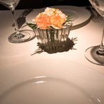 コート ドール - 