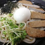 かけはし 松山店 - ぶっかけじゃこ天うどん590円