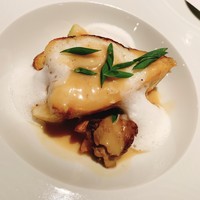 エルルカン・ビス - 
