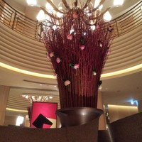 ロオジエ - 今回は ここの前の席で