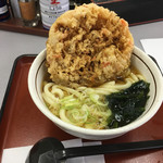 Yamada Udon Shokudou - 天ぷらうどん410円