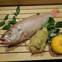 のどぐろ専門 銀座中俣 はなれ - 