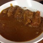 木屋南カレー - ビーフヒレカツカレー  辛口