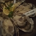 The Oyster Bar Kobe - 