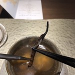 クロモリ - 貴重な冬虫夏草が入ってます。