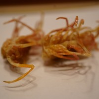 天婦羅 みやしろ - 